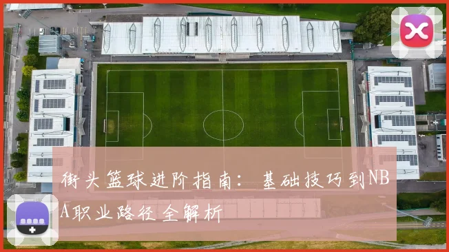 街头篮球进阶指南：基础技巧到NBA职业路径全解析